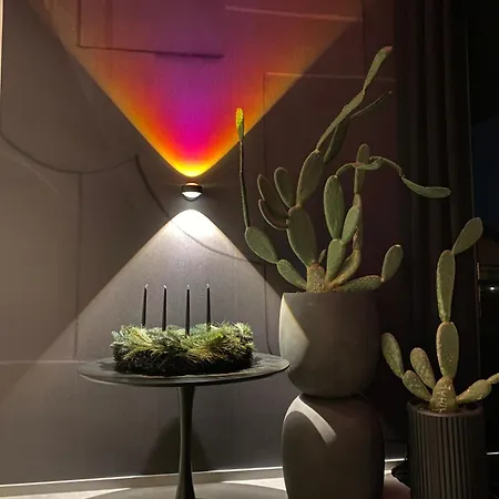 Exklusive Design Palm Paradise Neubau *