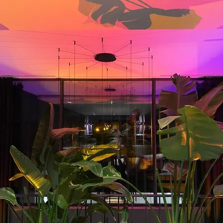 Exklusive Design Palm Paradise Neubau