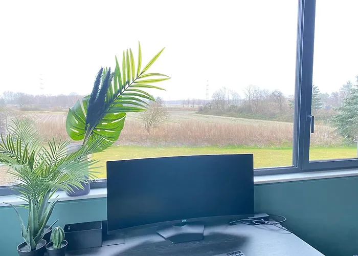 Exklusive Design Palm Paradise Neubau Pfungstadt