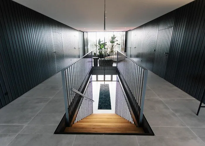 Exklusive Design Palm Paradise Neubau Apartment