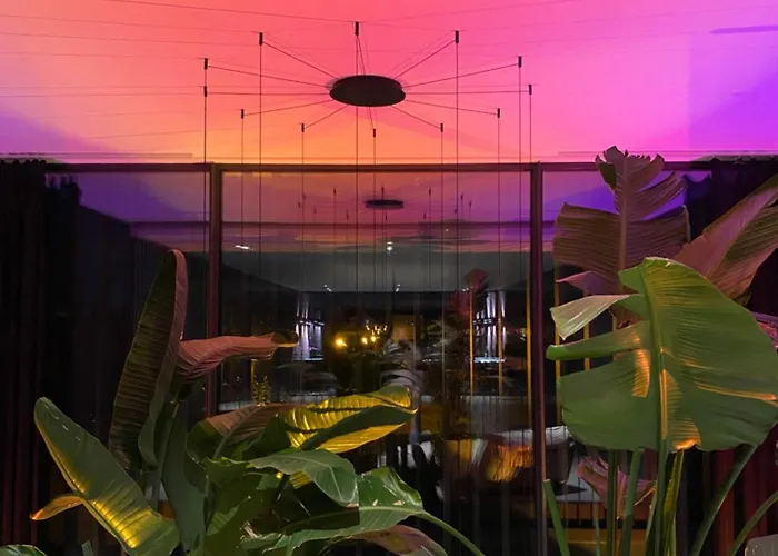 Exklusive Design Palm Paradise Neubau